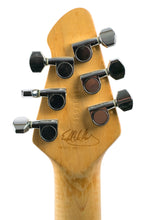 Load image into Gallery viewer, 1999 Peavey USA Wolfgang Special Stripe Graphics #91017532 (PDX)