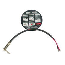 Load image into Gallery viewer, Divine Noise 1 Speaker Combo Amp Cable (PDX)