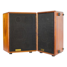 Load image into Gallery viewer, Used Daedalus W-803 Acoustic Guitar Speaker Cabinets Pair Natural Wood #NSN (PDX)