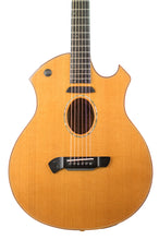 Load image into Gallery viewer, Circa 2008 Parker P8EN Acoustic Guitar Gloss Natural w/Cedar Top &amp; Flame Maple Back/Sides #G08021129 (PDX)
