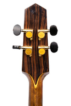 Load image into Gallery viewer, 2015 Herb Taylor Archtop Irish Tenor Natural #205 (PDX)
