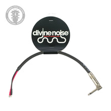 Load image into Gallery viewer, Divine Noise 1 Speaker Combo Amp Cable (PDX)
