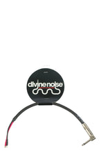 Load image into Gallery viewer, Divine Noise 1 Speaker Combo Amp Cable (PDX)
