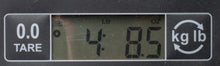 Load image into Gallery viewer, New Gibson J-45 Standard Purple Burst w/L.R. Baggs VTC Electronics #23365094 (PDX)

